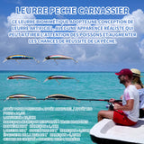 Leurres de pêche kit 6 pcs appâts de pêche en mer et eau douce appâts rigides bioniques 3d artificielles en à aspect réaliste 10,5cm
