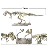Tyrannosaure rex skeleton model jouet grand simulation dinosaure squelette modèle dinosaure fossile squelette l'archéologie
