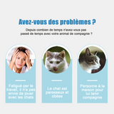 Jouet pour chat ABS trajectoire réellement aléatoire jouet pour chat laser automatique activé par le mouvement et rechargeable