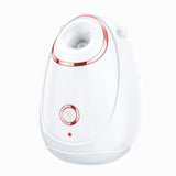 Vapeur pour le visage 280W Vaporisateur vapeur pour le visage Nano Humidificateur à vaporisation domestique Réservoir d'eau de 180ml