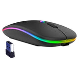 Souris sans fil 2,4 GHZ 600mah Souris d'ordinateur optique sans fil USB portable avec récepteur USB Prise en main confortable