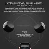 Haut-parleur bluetooth enceinte stéréo 1 paire avec bass puissantes mini enceinte chargement avec socle placement sur le bureau