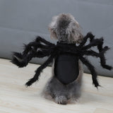Costumes de chat et de chien en peluche simulés d'araignée poilue, accessoires de fête d'halloween amusants pour chat, déguisement