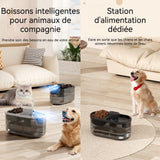 Fontaine a eau chat 4.5l grande capacité sans fil détection intelligente silencieuse fontaine à eau pour animaux de compagnie