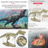 Tyrannosaure rex skeleton model jouet grand simulation dinosaure squelette modèle dinosaure fossile squelette l'archéologie