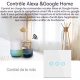 4pcs Interrupteur Mural Tactile Commutateur Intelligent Volet de Lumière lot de 4 Connecté WIFI Alexa et Google Home