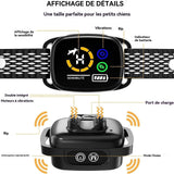 Dispositif anti aboiement 6 vitesses 10 mètres portée efficace de dog barking control device bouchon anti-aboiement à ultrasons