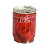 Graines de roses en conserve mini plantes créatives en pot graines en conserve 9x6.5 cm kit de semis en boîte de bureau plante pot