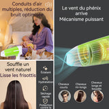Sèche-cheveux 2600 W Soufflerie puissante et efficace Contrôle de température à deux vitesses Séchage et soin capillaires rapides