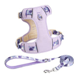 Harnais chien ensemble de 2 pièces avec laisse chien réglable arnet pour chien 11-20kg convient moyenne et grande taille chien
