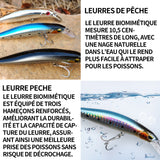 Leurres de pêche kit 6 pcs appâts de pêche en mer et eau douce appâts rigides bioniques 3d artificielles en à aspect réaliste 10,5cm