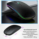 Souris sans fil 2,4 GHZ 600mah Souris d'ordinateur optique sans fil USB portable avec récepteur USB Prise en main confortable