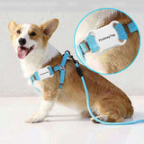GPS nouveau dispositif pour animaux de compagnie Mini étanche Bluetooth dispositif Anti-perte chien chat Tracker Pet Finder