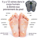 Masseur de pieds 15 modes Facile à utiliser Affichage numérique Utilisant la technologie EMS Rechargeable par USB Matériau sûr