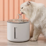 Fontaine de circulation de distributeur d'eau automatique d'acier inoxydable d'animal familier fontaine d'eau de chien de chat
