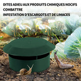 Piège à limaces 9x11.5cm 4 pièces attrape-escargots en plastique piège à escargots de bière pour attraper les limaces et escargots