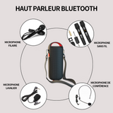 Enceinte bluetooth 30W 1800mAh enceinte portable avec bass puissantes etanche IPX6 subwoofer à 360 degrés double appairage stéréo