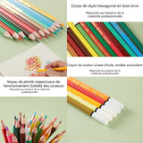 Crayons de couleur 48 crayons de couleur différents peintre dessin crayon croquis fournitures d'art scolaire peinture de graffitis