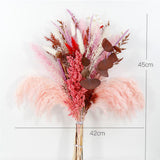 Fleurs séchées en couleurs primaires naturelles   Herbe de queue de lapin  Mélange rose   Décoration d'intérieur
