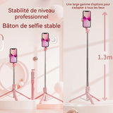 Perche à selfie 130cm perche à selfie trépied lumière d'appoint avec 2 lumières d'appoint avec effet de beauté rotation à 360 degrés