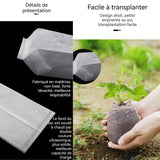 Sac de plantation 200PCS 12x12cm 24x27cm sac de semis non tissé matériau écologique et dégradable sac de semis pour petit jardin