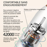 Brosse à dents électrique 20.5x11x3.5cm 70db 42000 fois par minute IPX7 6 vitesses réglables brosse à dents sonique unisexe