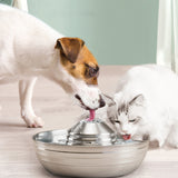 Abreuvoir pour animaux de compagnie  Acier inoxydable  Électrique  Abreuvoir à recirculation  Abreuvoirs pour chats et chiens