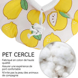 Collier de récupération pour chat 16 à 29 cm plage réglage pèse environ 5 livres Couverture de beauté collier chien de capuche chat