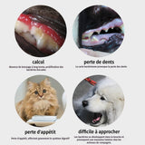 Brosse à dents électrique pour animaux - T'CHOUPIN - Convient aux chats et aux chiens - Soies douces - Tête de brosse remplaçable