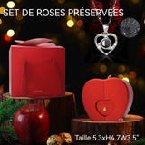 Boîte à cadeaux rose Collier Femme Je t'aime en 100 langues Collier de projection Fleur éternelle Boîte à Pomme Cadeau de Noël