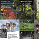 Caméra de chasse 1080P/720P/VGA photographie automatique détection champ 64GB éclairage LED infrarouge veille ultra longue IP65