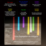 Masque facial PASSIONOVA LED 7couleurs de visage pour tous les types de peau à la lumières rangée beauté Instrument beauté domicile