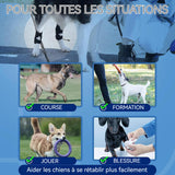 Protège-Coude pour Chien 1 Paire Genouillère de Genouillère pour Chien Aide à la récupération Protection de Coude pour Chien