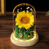 Couverture en verre de tournesol, vraie fleur immortelle, produit fini, ornements pour cadeaux d'anniversaire et de saint-valentin