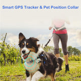 Localisateur GPS pour animaux de compagnie, collier portable anti-perte pour chien et chat, traceur intelligent étanche