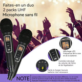 Haut-Parleur Bluetooth 10 mètres Distance Machine de karaoké à domicile double microphone portable haut-parleur Avec la lumière