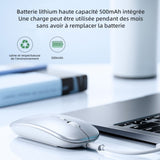 Souris sans fil 2.4G Bluetooth 5.0 4.0 Trois modes Affichage électrique Souris rechargeable unmute Souris de bureau pour le jeu