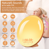 Eveil lumière led réveil simulateur d'aube crépuscule 2 réveils 9 sons naturels fonction snooze veilleuse réveil lumière bluetooth