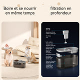 Fontaine a eau chat 4.5l grande capacité sans fil détection intelligente silencieuse fontaine à eau pour animaux de compagnie