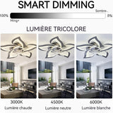 Ventilateur de plafond avec lumière 6 vitesse fan avec dimmable eclairage 3 couleur avec télécommand et APP plafonnier ventilateur