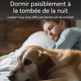 Collier anti aboiement chien avec télécommande étanche IP67 rechargeable collier anti aboiement pour chien anti aboiement chien