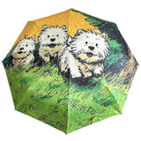 Parasol 8 os mini parapluie anti-UV portable avec boîte à capsules mini parapluie de poche pour femme parapluie coupe-vent