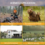 Caméra de chasse 1080P/720P/VGA photographie automatique détection champ 64GB éclairage LED infrarouge veille ultra longue IP65