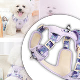 Harnais chien ensemble de 2 pièces avec laisse chien réglable arnet pour chien 11-20kg convient moyenne et grande taille chien