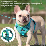 Harnais chien 47-56 cm poitrine laisse XL pour chien ceinture de securite harnais pour chien anti-traction taille réglable bleu