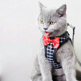 Petit chien harnais marche chien chat corde ensemble chat personnalité poitrine dos Traction corde mignon chat chien harnais