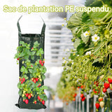 Sac de plantation 8 trous 25x60cm sac de plantation suspendu plastique imperméable sac de croissance sac de semis vert foncé