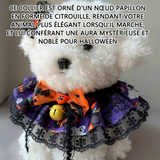 ollier d'halloween pour animaux compagnie S taille harnais animal sellerie attache pour animaux de compagnie jusqu'à 8kg animalerie