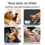 Collier anti aboiement chien avec télécommande étanche IP67 rechargeable collier anti aboiement pour chien anti aboiement chien