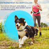 Collier de Dressage pour Chiens 3Modes Son/Vibration/Choc Statique Résistant à l'eau IPX7 Portée 300 Mètres pour Gros et Petit Chien